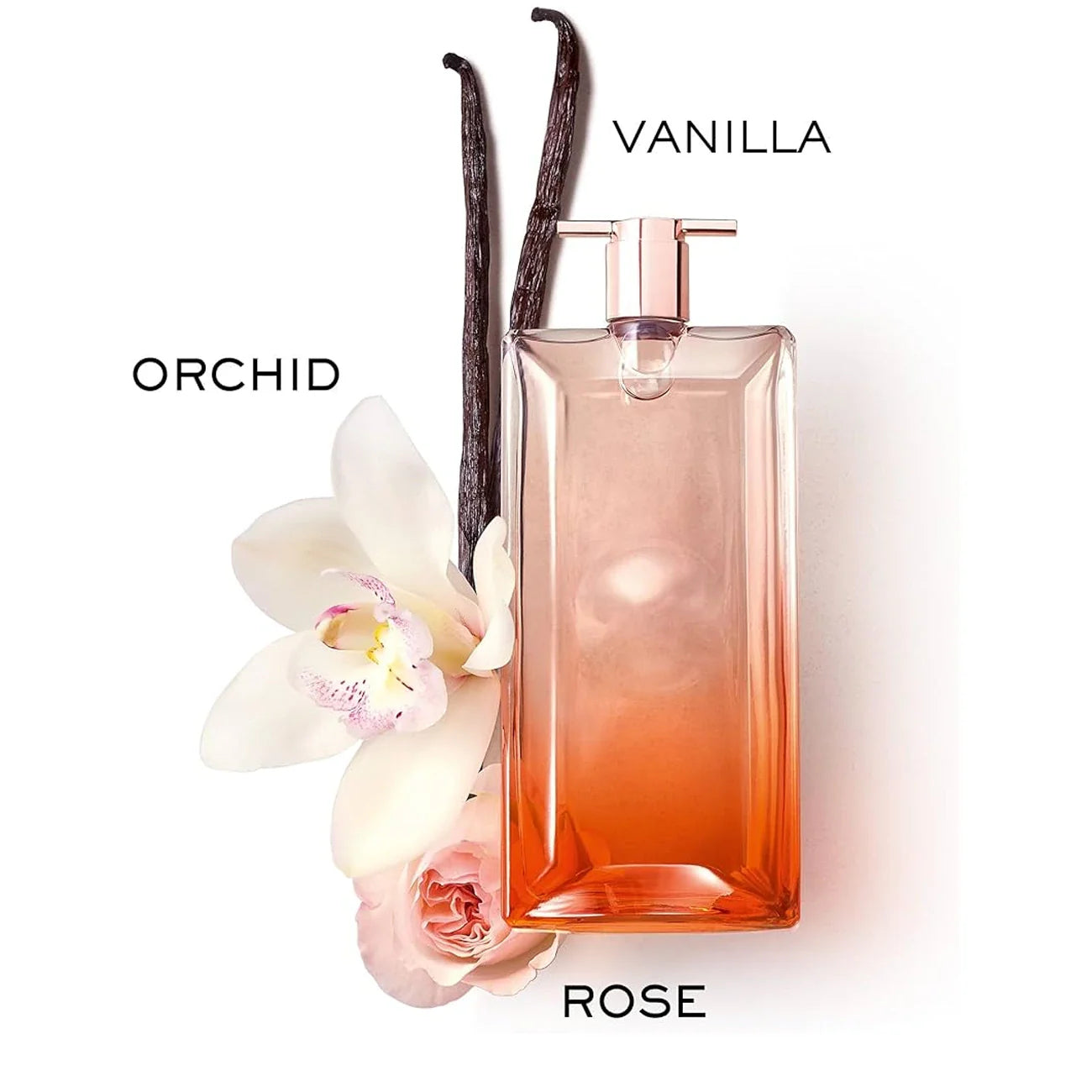 LANCOME Idole Now 3.4 oz EDP for women
